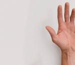 การตีความวิชาดูเส้นลายมือ  วิธีบอกโชคลาภด้วยมือ  พื้นฐานของวิชาดูเส้นลายมือ  วิดีโอ: “การทำนายด้วยมือ”