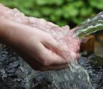 Funkcije vode u ljudskom tijelu Značaj vode u životu drugih organizama